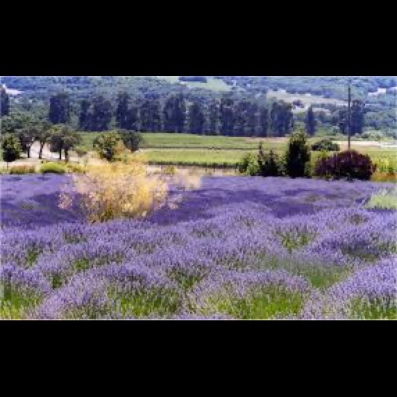 WELCOME..COME ON IN! - Picture 6 of 6